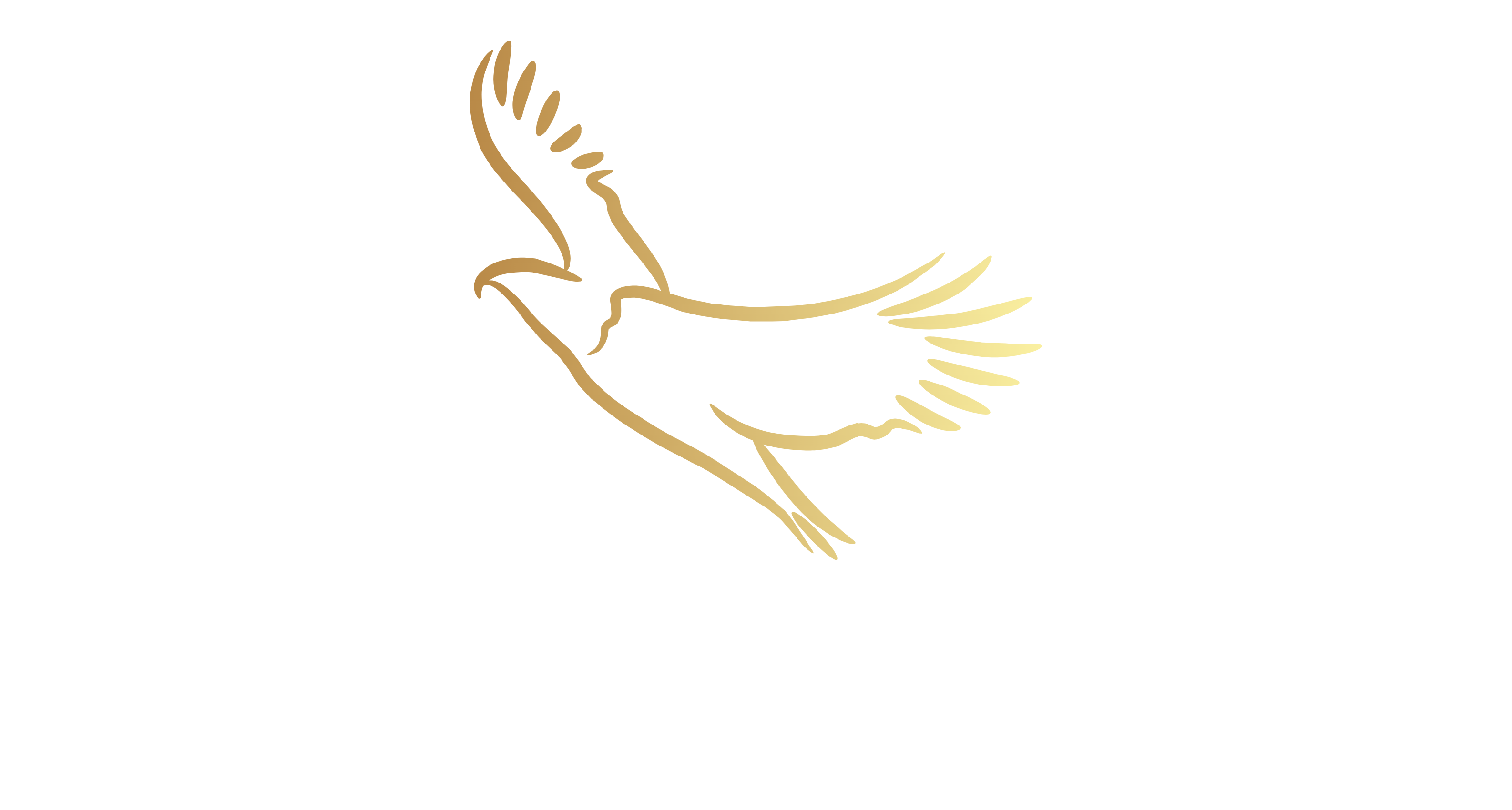 Color logo – no background